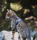 Modena pettorina per gatto con guinzaglio - MiaCara