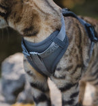 Modena pettorina per gatto con guinzaglio - MiaCara