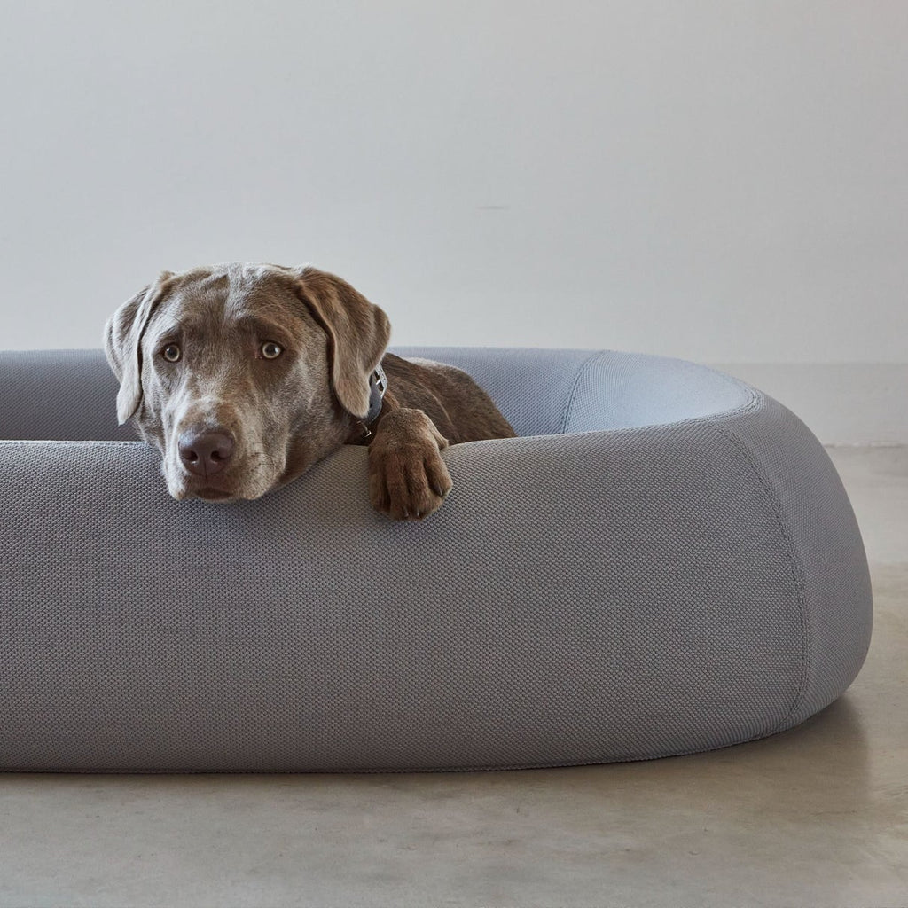 Barca copertina | MiaCara