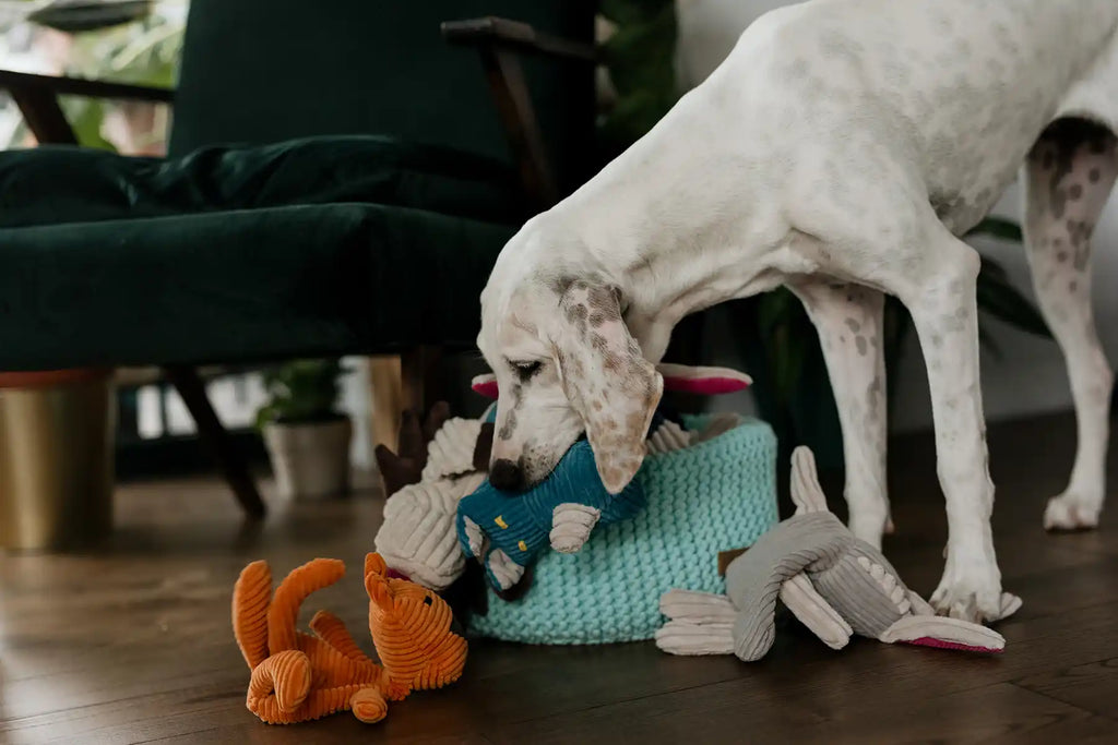 Cesto giochi | Bone & Bowl