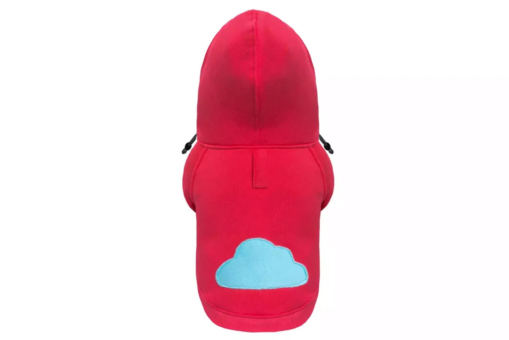 Felpa CLOUD | Bone & Bowl